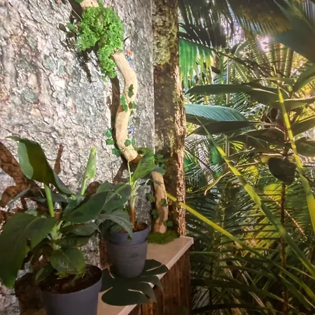 Apartmán Welcome To The Jungle *