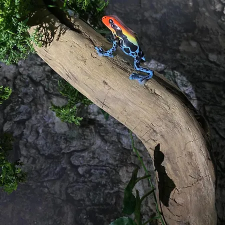 Welcome To The Jungle Apartamento *